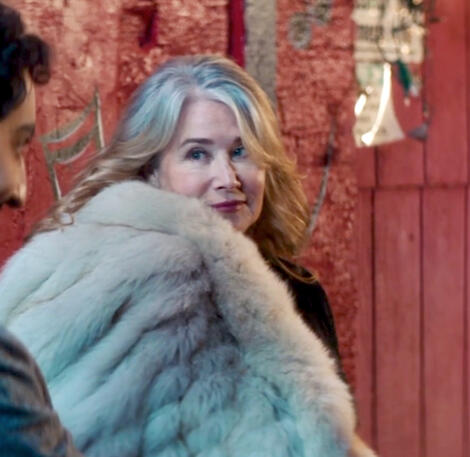 1 Lorraine Bracco wearing a grey fur coat smiling in a scene from the movie Jacir.