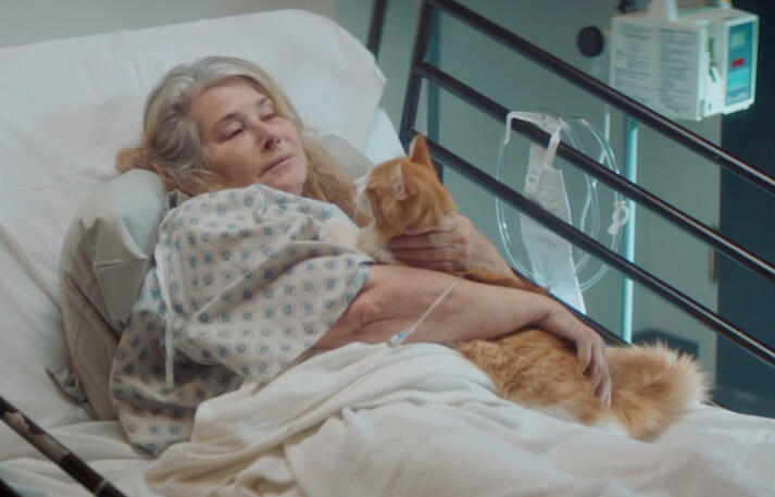 7 Lorraine Bracco in a hospital bed holding her cat in Jacir film scene.